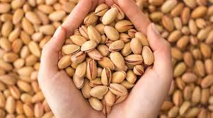 تصویر 1 از پسته اکبری درشت با درصد خندانی بالا